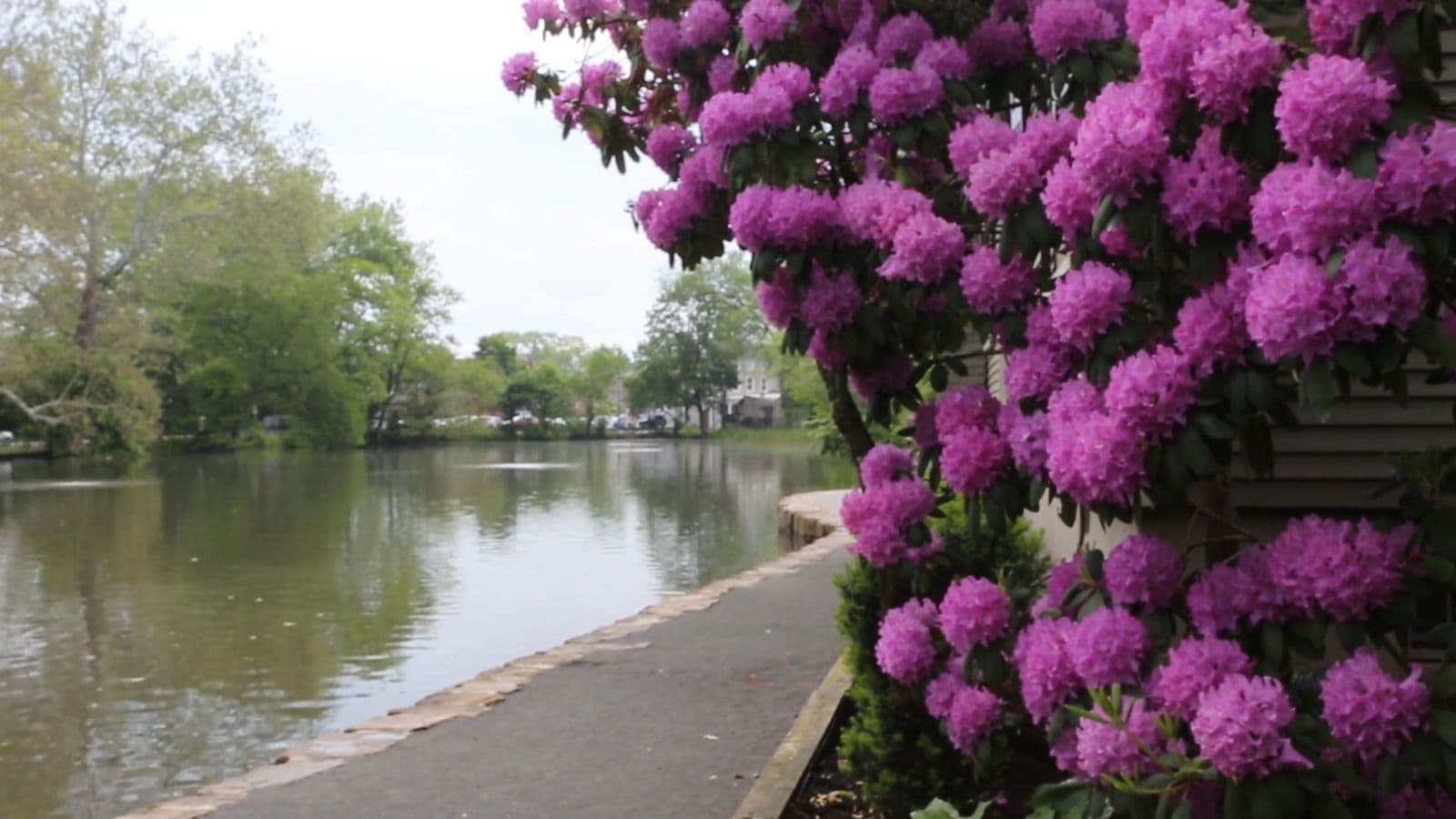 The Delaware Canal in Yardley
